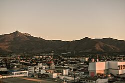 Valle de Quillota.jpg