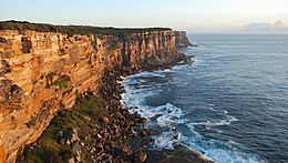 Archivo:View from North Head Lookout - panoramio