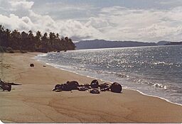 Archivo:WWII remains on Buin beach