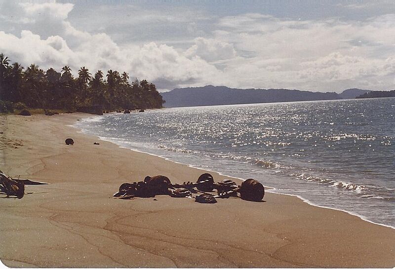 WWII remains on Buin beach