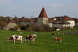 Archivo:Wiedlisbach-Wohnturm