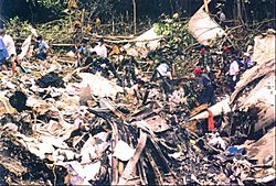 Wreckage of Flight 152 (1).jpg