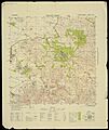 16-24-ShafaAmr-1952