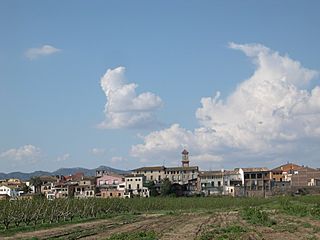 2007 Pascua 014.jpg