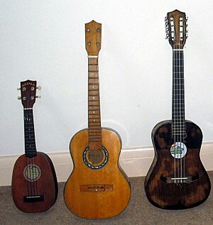 Archivo:3 ukes