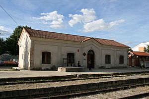 Archivo:Antigua estación de ferrocarril (12 de agosto de 2014, Hervás)