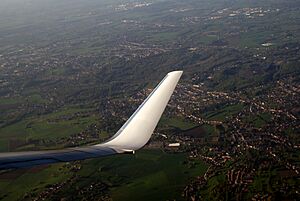 Archivo:B737-800 winglet