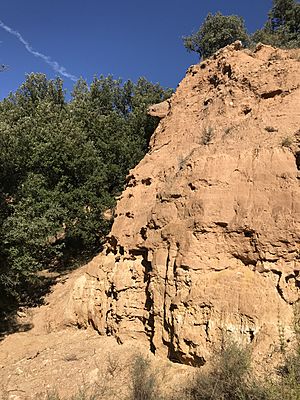 Archivo:Barranco de Vallejo de la Horna de Villarroya detalle sitio excavación 1988-1989