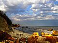 Black Sea Shore