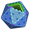 Carboxysome and bacterial microcompartments