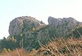 Castell de Tàrbena