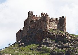 Castillo de Riba de Santiuste.jpg