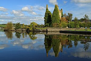 Archivo:Castles of Munster, Dromineer, Tipperary - geograph.org.uk - 1543096