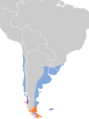 Charadrius modestus map