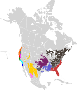 Distribución de algunas subespecies de D. punctatum