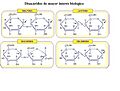 Disacaridos-de-interes-biologico