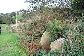 Dolmen d'El Varadal (Tineu) (01).jpg