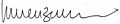 Enzensberger Signature