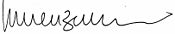 Enzensberger Signature.jpg
