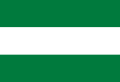 Flag of Andrés Ibánez Province
