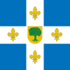 Flag of Villaquejida.svg