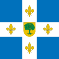 Flag of Villaquejida