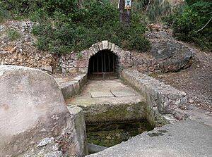 Archivo:Font Es Verger