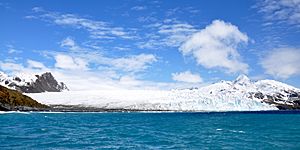 Archivo:Fortuna Glacier
