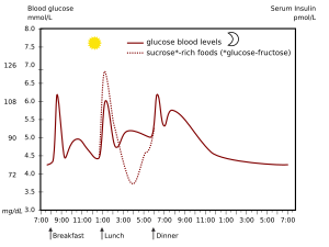 Archivo:Glucose-day-english