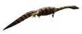 Hyphalosaurus mmartyniuk wiki flipped