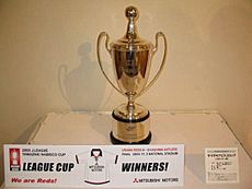 J League Cup 2003.jpg