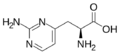 L-Lathyrine