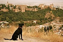Archivo:La Alhambra - 3966383931