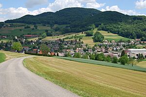 Archivo:Laeufelfingen 370
