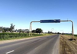 Los Cardos, Depto. San Martín, Santa Fe, Argentina.jpg