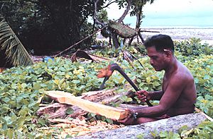 Archivo:Making paddle with adze, Tobi, Western Caroline Islands, Micronesia