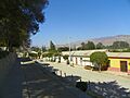 Mincha Norte, Chile - panoramio (2)