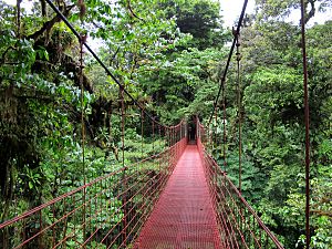 Archivo:Monteverde puente
