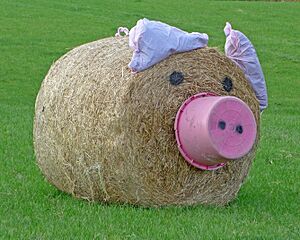 Archivo:Norland Scarecrow Festival- Old Macdonald had a Farm ... (21180029881)