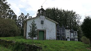 Oza Cesuras Vivente 2.jpg