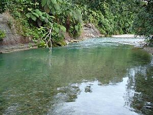 Archivo:Piscina natural del amor