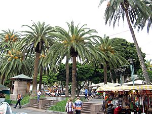 Archivo:Place in Puerto de la Cruz