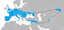 Área de distribución máxima de H. s. neanderthalensis