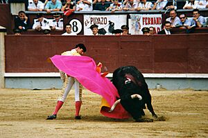Archivo:Rincón César, en una larga cordobesa, en Madrid. 7.6.94