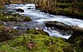 Rio Baleo
