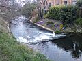 River witham