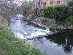 River witham.JPG