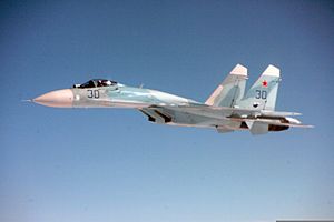 Russian Air Force Su-27.jpg