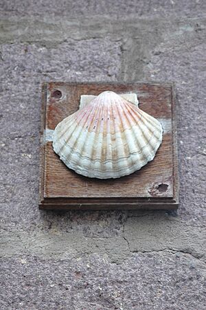 Archivo:Saint Jean Pied de Port Coquille
