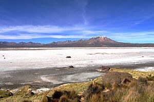 Archivo:Salar de Surire
